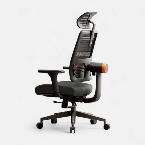Ergonomic 02 - Chaise de bureau Ergonomique avec Soutien Lombaire Réglable - Ma Chaise de Bureau