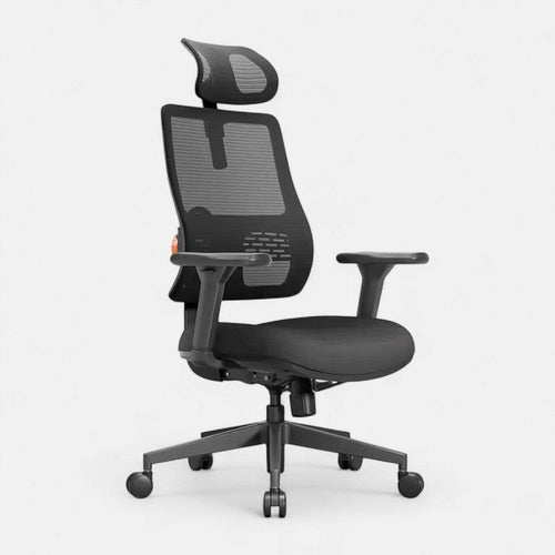 Ergonomic 02 - Chaise de bureau Ergonomique avec Soutien Lombaire Réglable - Ma Chaise de Bureau